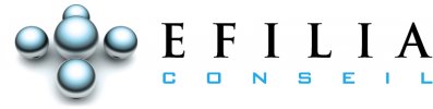 efilia-conseil-logo